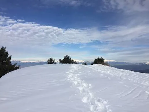 Fresh snow and footprints beneath a winter sky